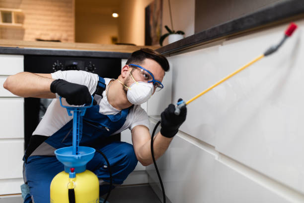 Best Pest Prevention Services  in Trafford, PA