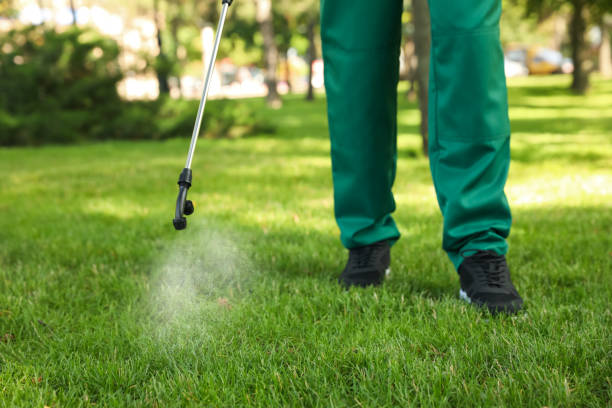 Reliable Trafford, PA Pest Control Solutions